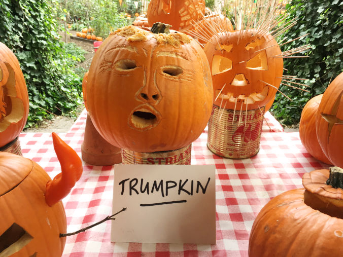 trumpkin
